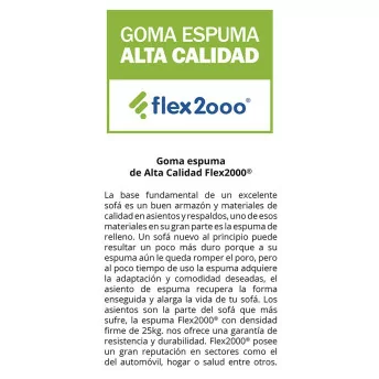 Chaise longue SUPER PRECIO (2 Cojines Decorativos opcionales)